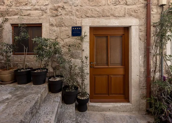 Old Town Olive * Dubrovnik